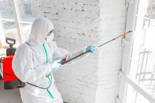 Best Asbestos and Lead Testing During Mold Inspection in Oak Hill, TN